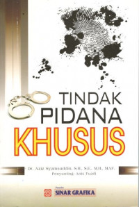 Tindak pidana khusus