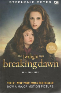 Breaking dawn: the twilight saga