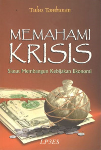 Memahami krisis: siasat membangun kebijakan ekonomi