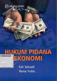 Hukum pidana ekonomi